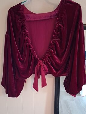 Free People NWT Rasberty Fuschia Velvet Tie-back Open Back  Crop Blouse